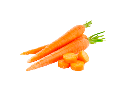Fresh Carrots